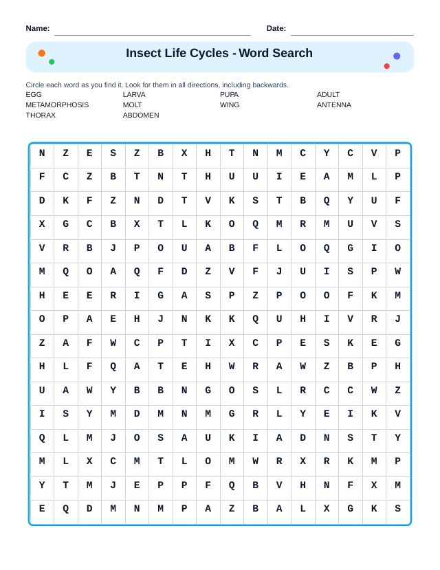 Insect Life Cycles Word Search