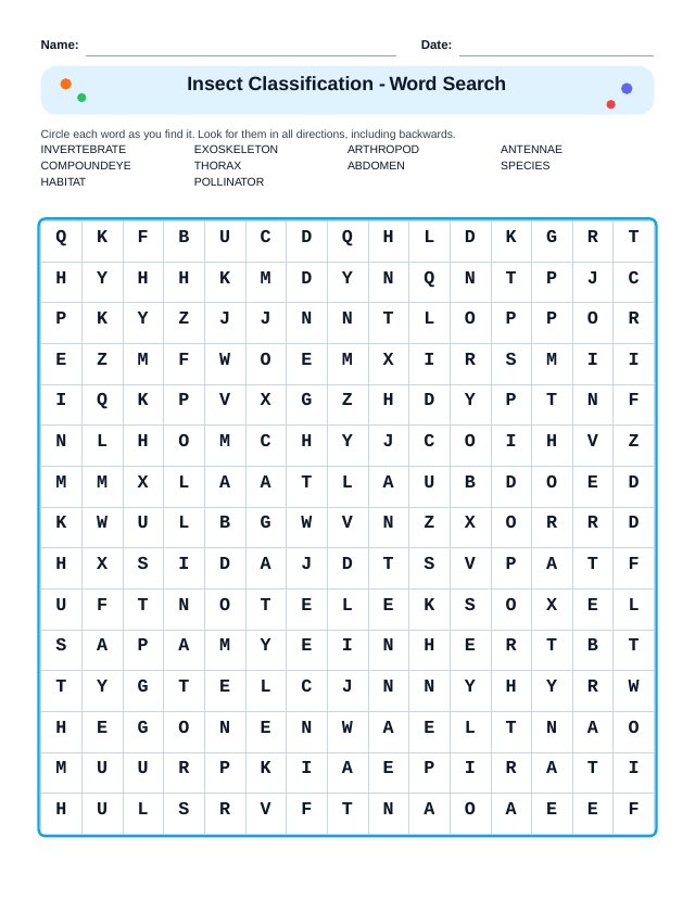 Insect Classification Word Search