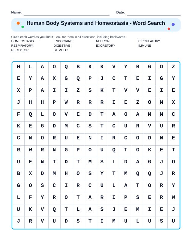 Human Body Systems and Homeostasis Word Search